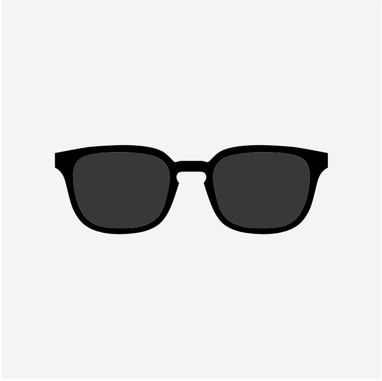 Vision S1