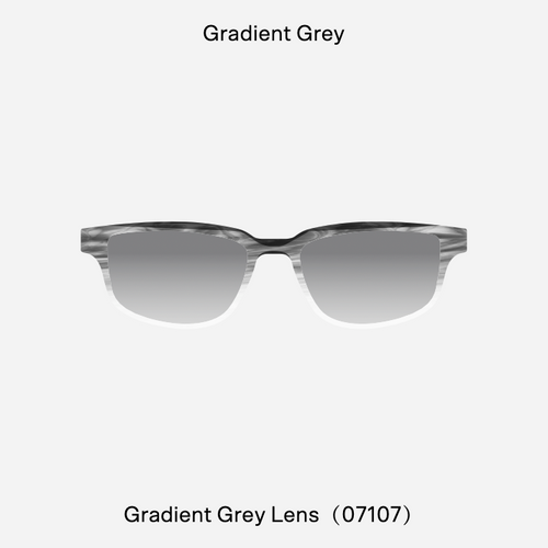 Vision H2